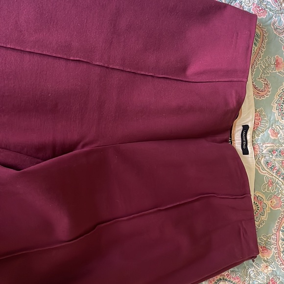 Lands End burgundy skinny pants - Picture 5 of 5